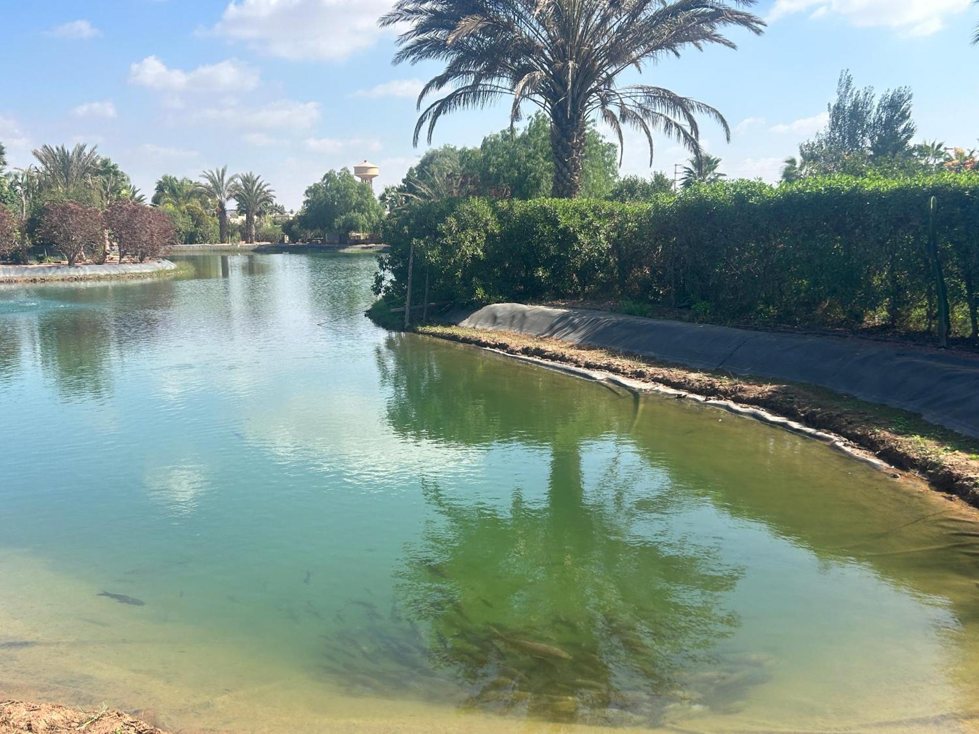 Villa Louisa Piscine Privee Sans Vis A Vis Dyar Shemsi Taroudant Extérieur photo